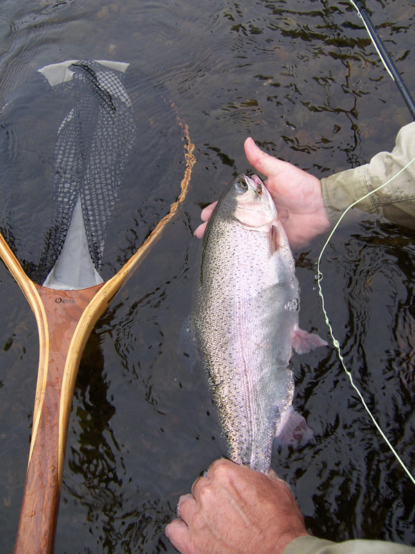 troutbum-photo\'s-Connecticut-river-July-8th,2006-017.jpg