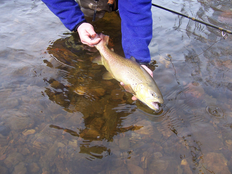 spring-trout-bum--2007-050.jpg