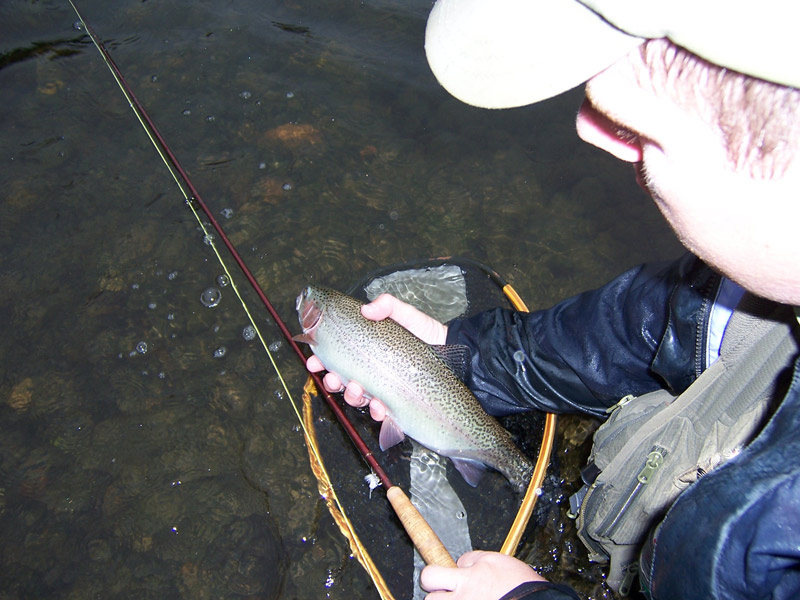 troutbum-photo\'s-Connecticut-river-June-26th,2006-007.jpg