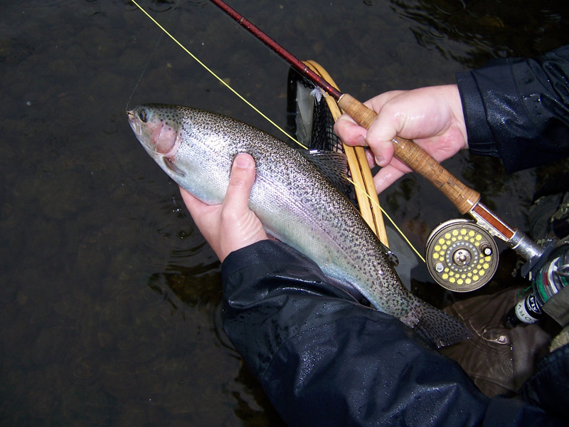 troutbum-photo\'s-Connecticut-river-June-26th,2006-006.jpg