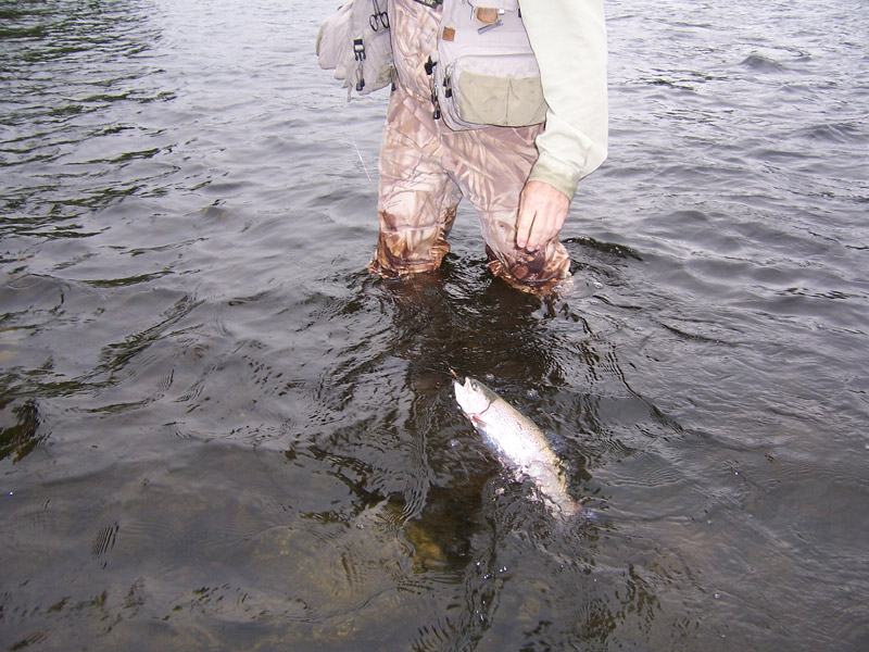 troutbum-photo\'s-Connecticut-river-July-8th,2006-005.jpg