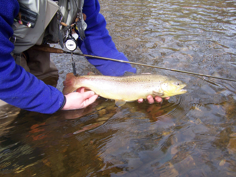 spring-trout-bum--2007-046.jpg
