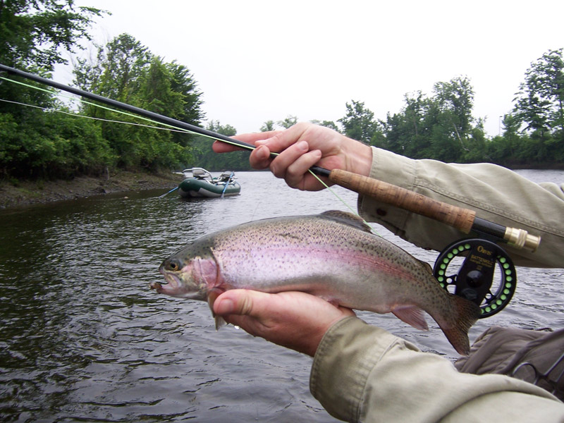 troutbum-photo\'s-Connecticut-river-July-8th,2006-007.jpg